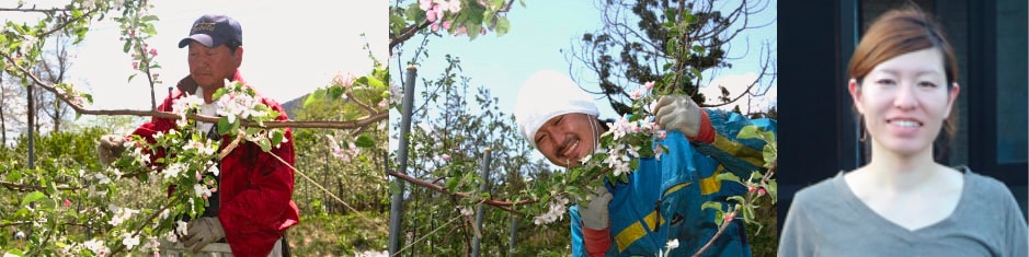 りんご通販楽天市場スライドショー4