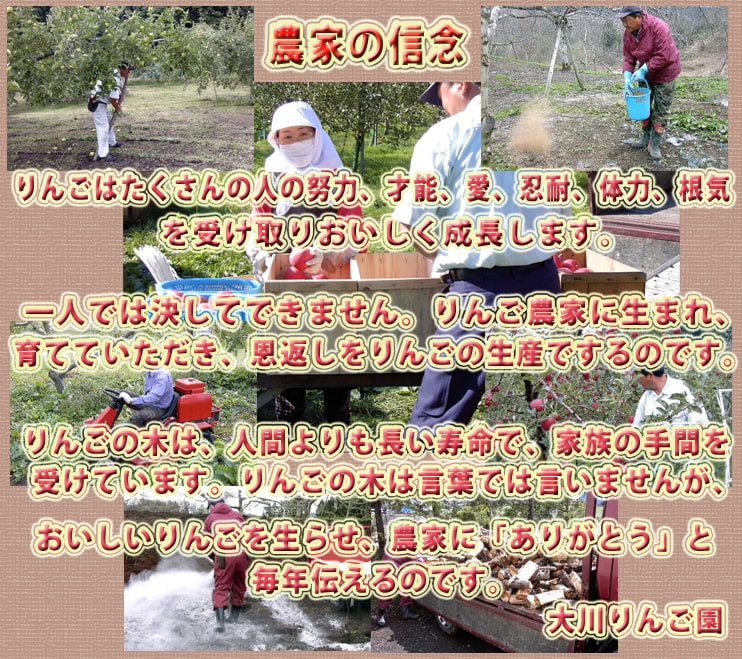 農家の信念:りんごはたくさんの人の努力、才能、愛、忍耐、体力、根気を受け取りおいしく成長します。一人では決してできません。