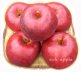 大川りんご園せがれの詩 ポエム